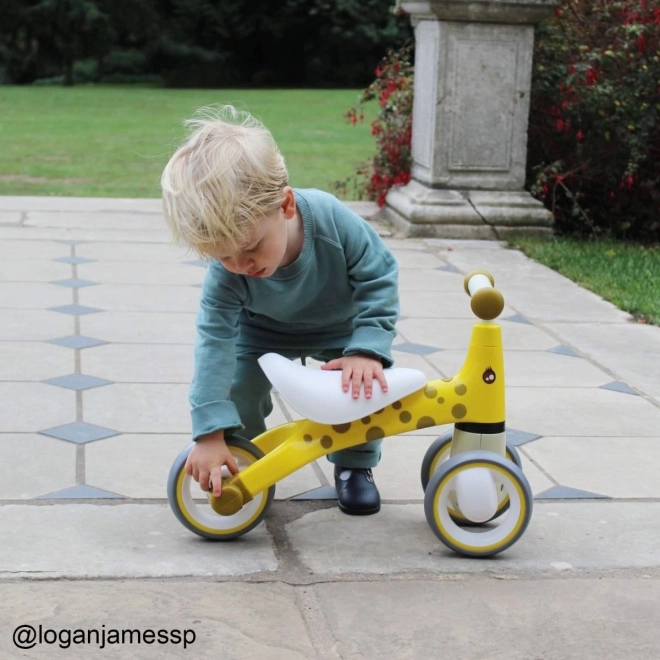 Didicar bicicletta senza pedali giraffa