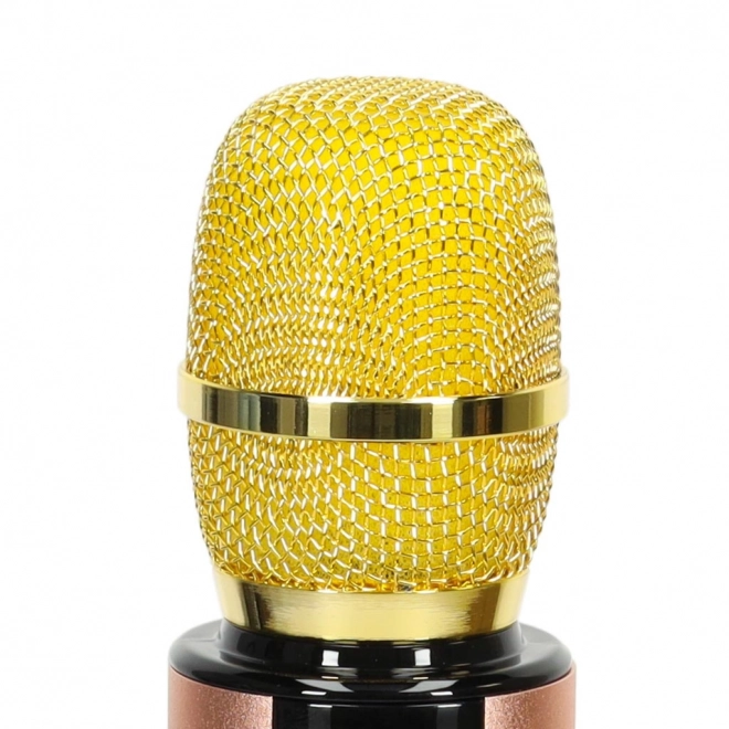 Microfono karaoke wireless Bluetooth nero – Oro