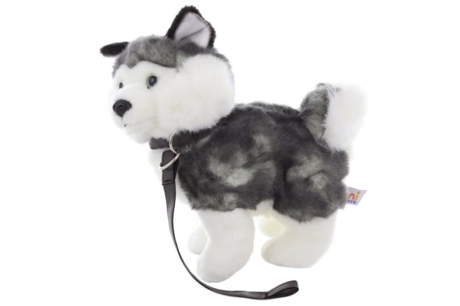 Cane Husky di peluche con guinzaglio