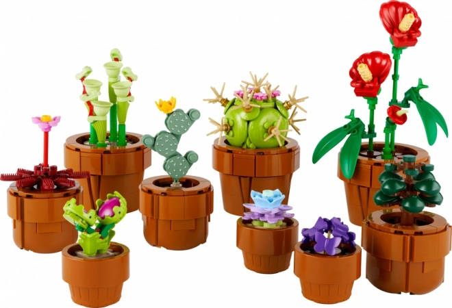Set decorativo per adulti