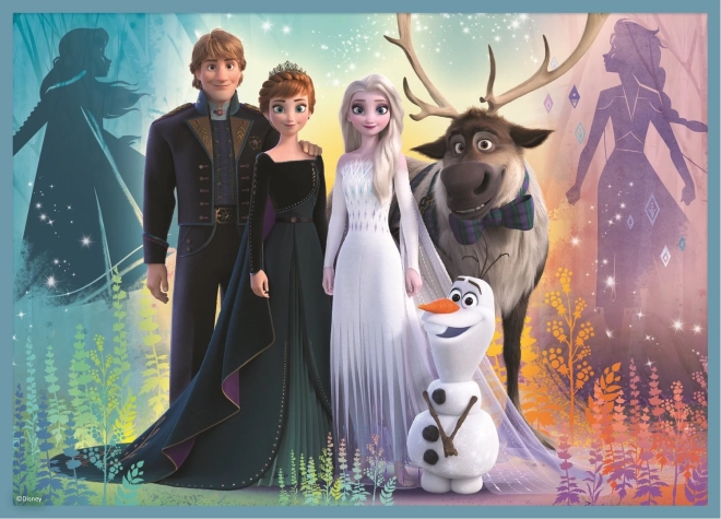 Puzzle Frozen Il Mondo Meraviglioso 4 in 1