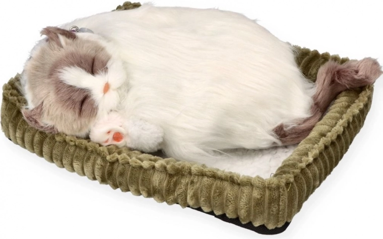 Sonno realistico per rilassarsi