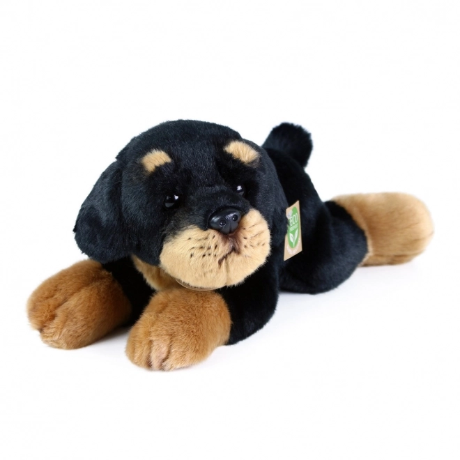 Cane di peluche Rottweiler 30 cm