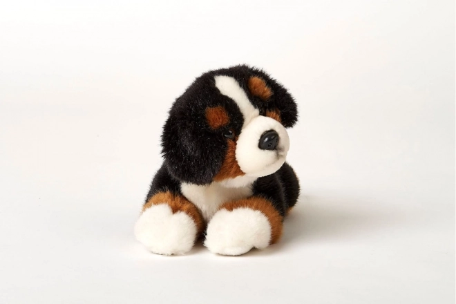 Peluche cane di montagna bernese 25 cm