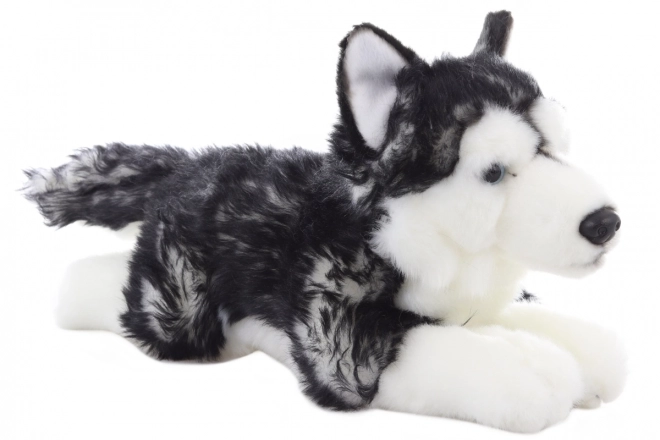 Peluches Husky disteso 35 cm