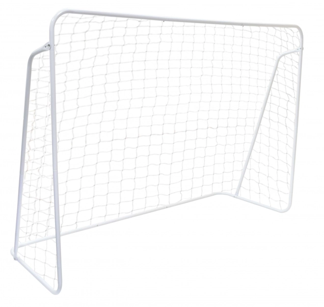 Porta da calcio con rete 240x160cm ECOTOYS