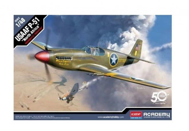 Modello in plastica USAAF P-51 Nord Africa