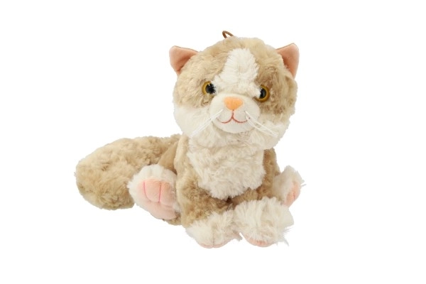 Gatto peluche seduto con suono