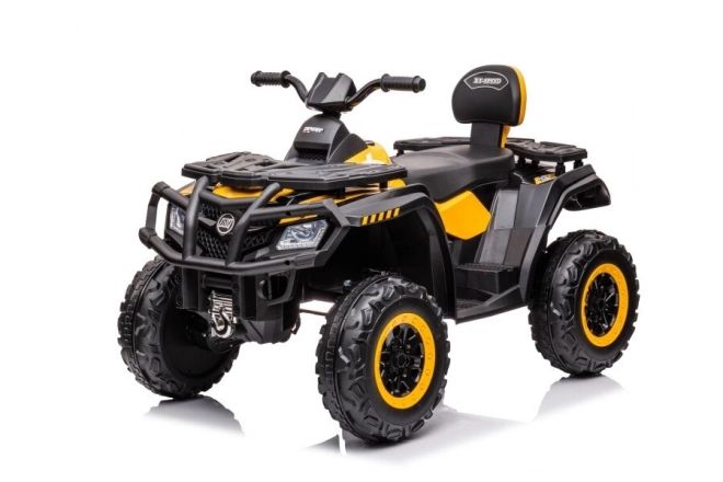 Quad Elettrico Giallo 24V