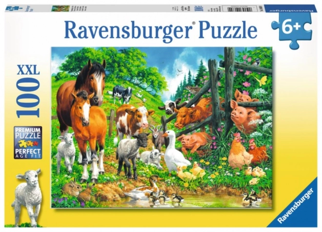 Puzzle XXL Animali 100 pezzi