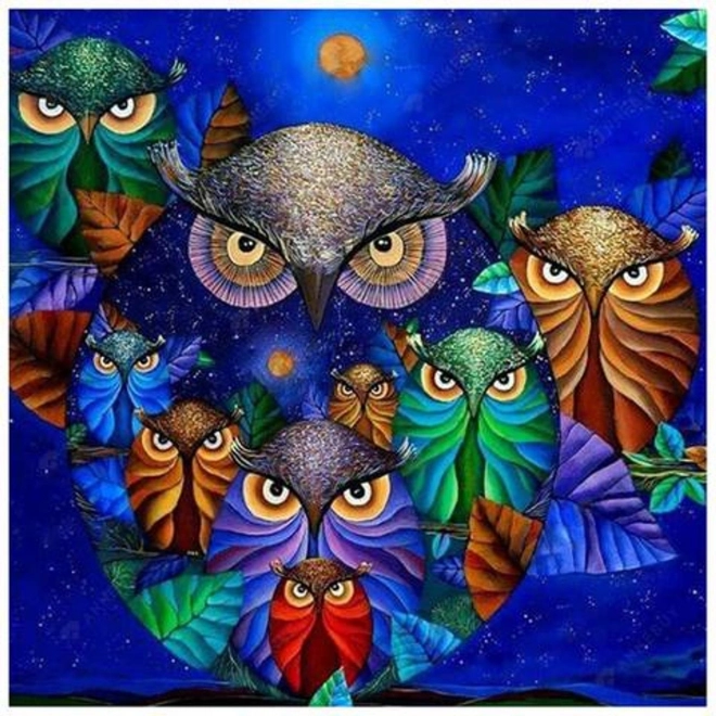 Pittura diamantata 7D – gufi nel cielo notturno 30 × 40 cm