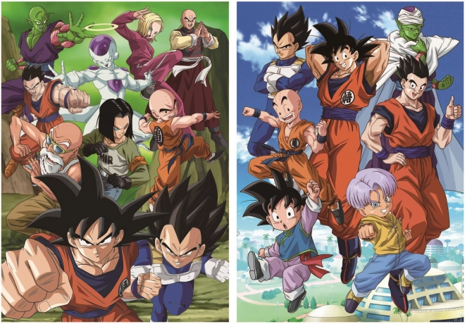 Puzzle DRAGON BALL 2x500 pezzi