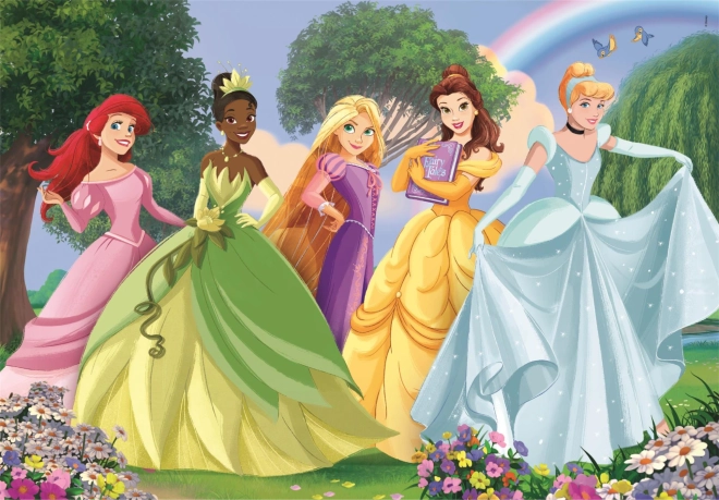 Motivo magico delle Principesse Disney