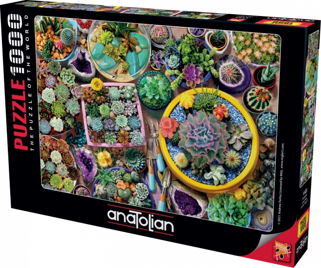 Puzzle Vasi Cactus 1000 Pezzi