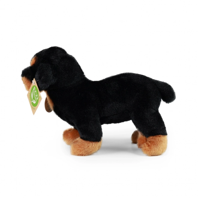 Rotweiler di peluche ecologico 18 cm