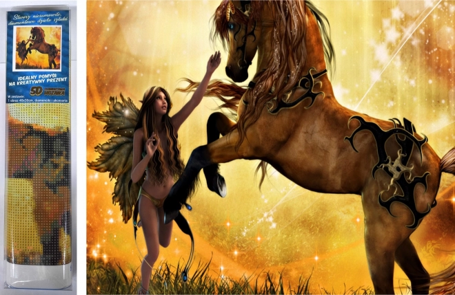 Paint by Diamonds Domare il cavallo 30x40 cm