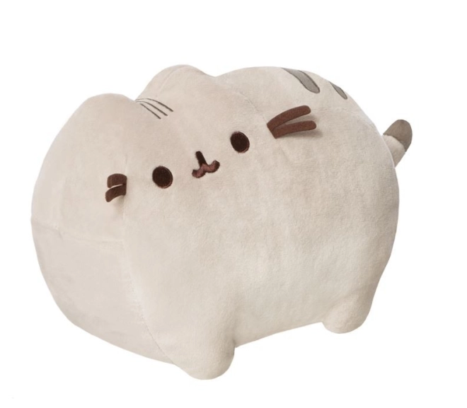 Design Pusheen adorabile