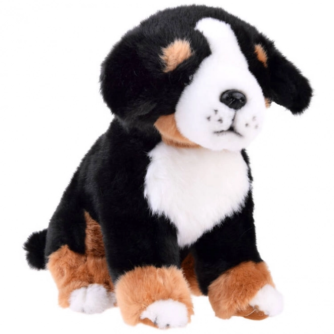 Cane bernese seduto 20 cm