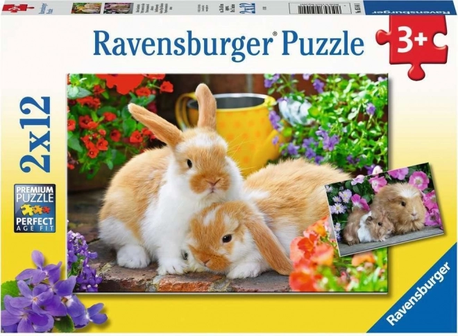 Puzzle Coccole RAVENSBURGER 2x12 Pezzi