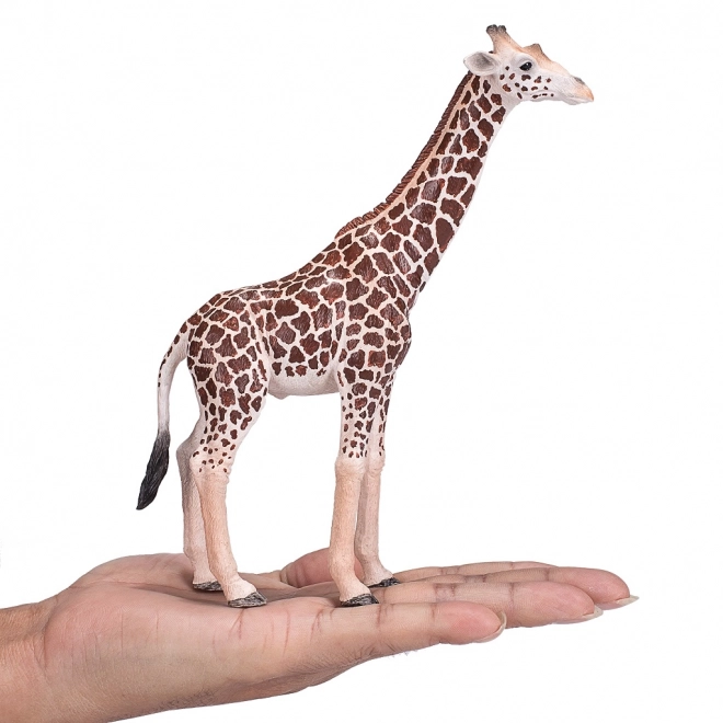 Riproduzione Realistica Giraffa Maschio