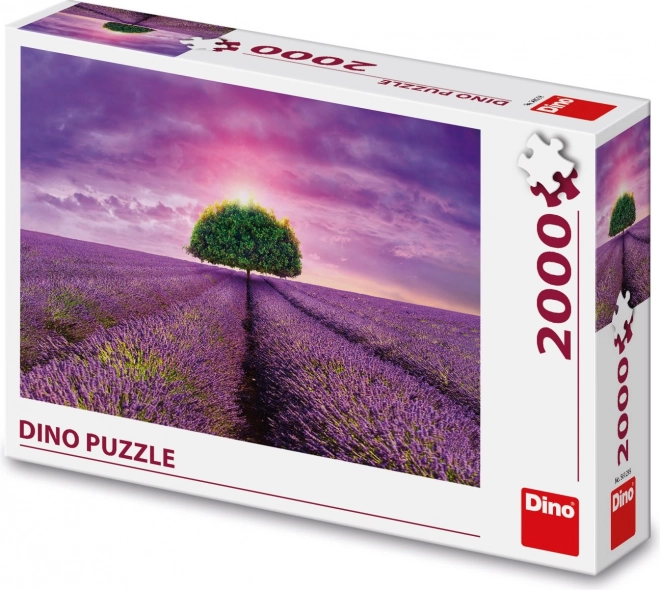 Puzzle Lavanda nei campi 2000 pezzi