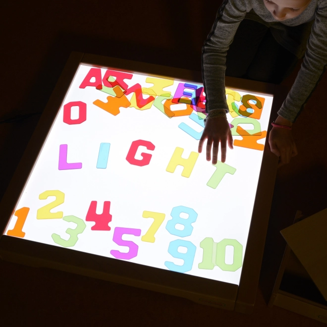 Masterkidz Pannello LED cassa sensomotoria con accessori