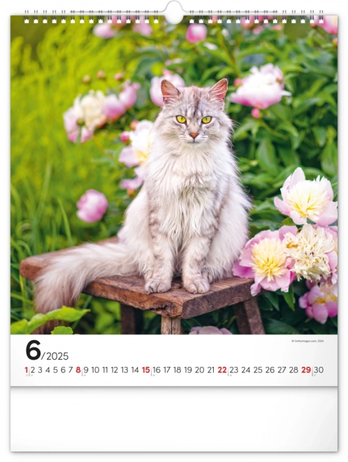 Calendario da parete Gatti 2025