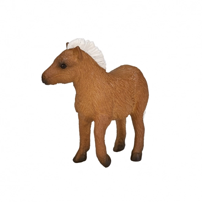 Pony Shetland Mucca di Mojo