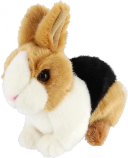 Dettagli realistici e combinazione di colori