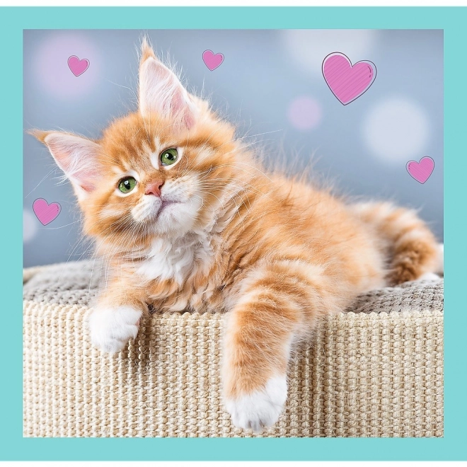 Puzzle dolci gattini