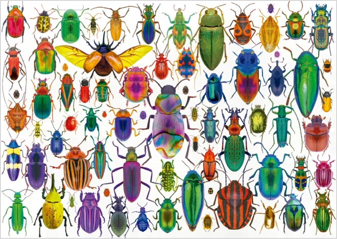 Educa Puzzle Scarafaggi 500 pezzi