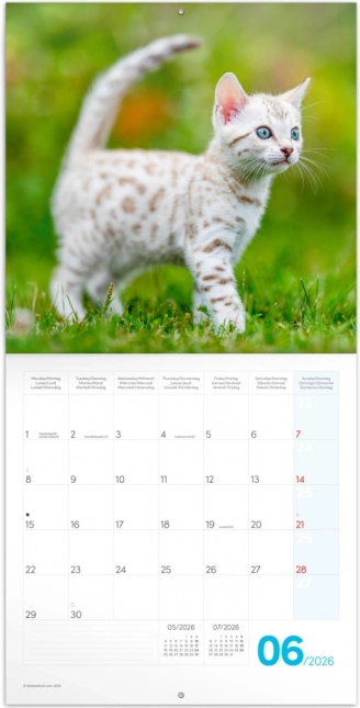 Calendario delle Note Gattini 2026