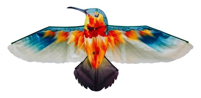 Aquilone Colibrì