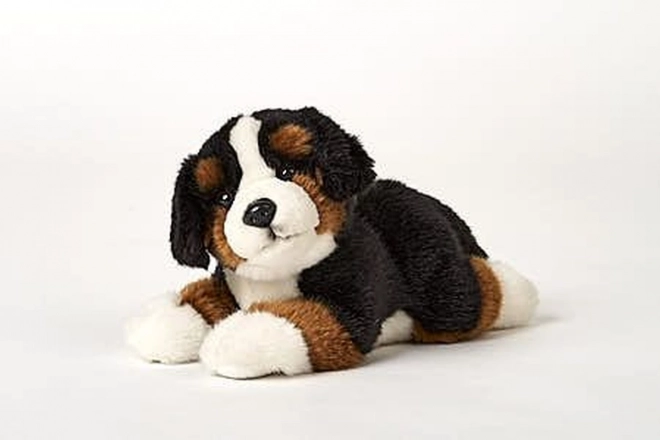 Peluche cane di montagna bernese 25 cm