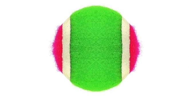 Gioco di paletta a velcro