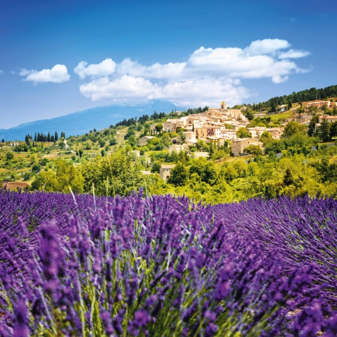 Calendario per Appunti Provenza 2026