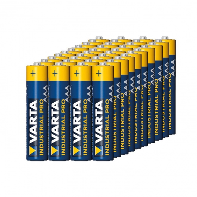 Batterie alcaline AAA Varta Industrial (4 pezzi)