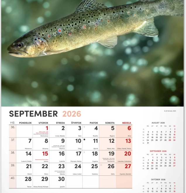 Calendario da parete di pesca 2026