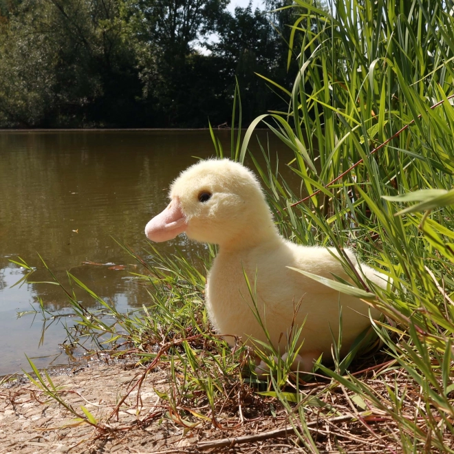 Peluche Anatra Eco-Friendly