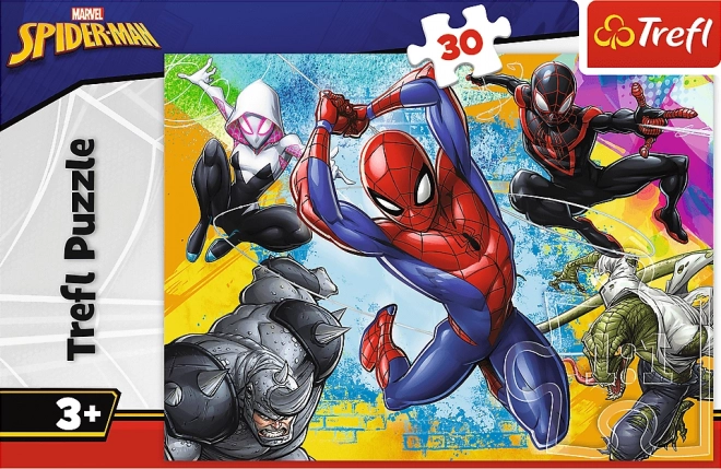 Puzzle Spiderman 30 pezzi