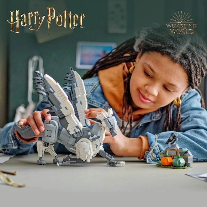 Lego Harry Potter Hardodzìo