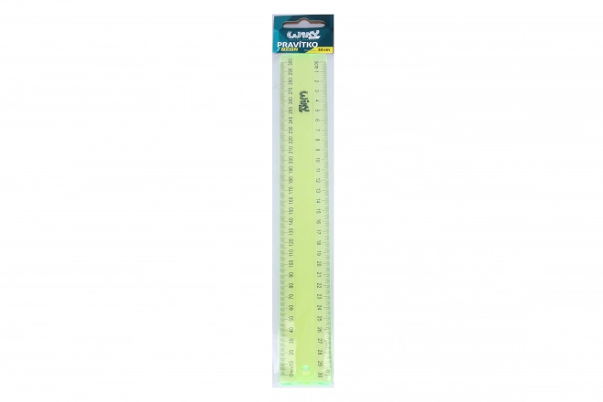 Righello trasparente 30 cm neon