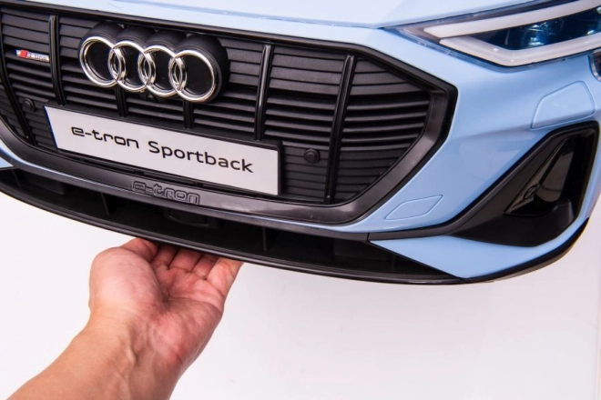 Audi E-Tron Autobatteria blu QLS-6688