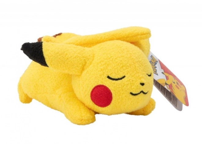 Pokémon peluche dormienti