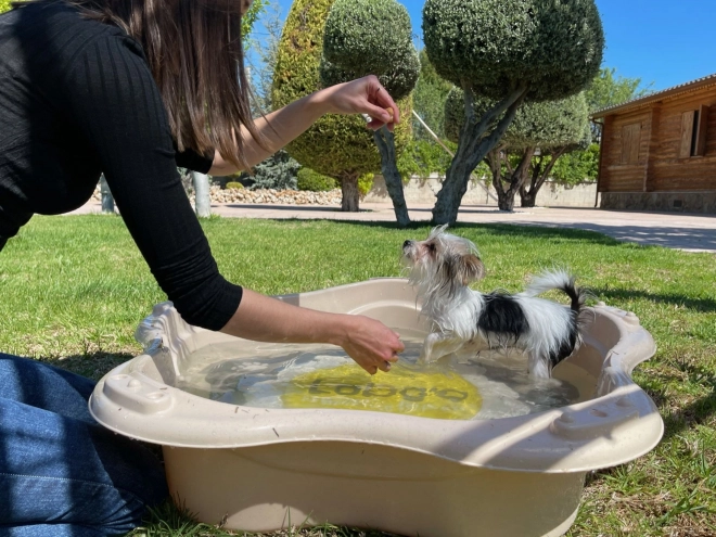 Piscina per animali Loboo Classica