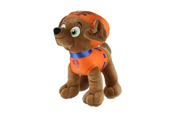 Figura della Paw Patrol Personaggio di peluche 6 tipi