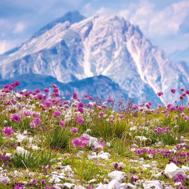 Calendario delle Note Alpi 2026