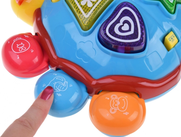 Insegna colori e animali