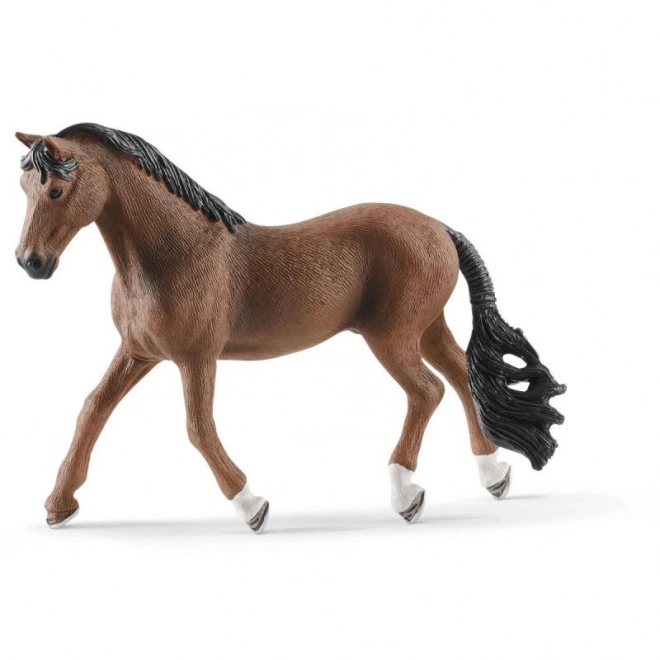 Cavallo Trakehner