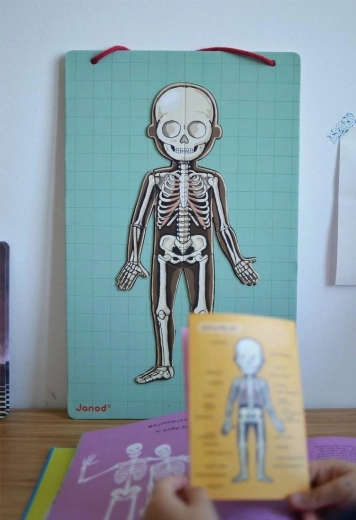 Apprendimento visivo del corpo umano